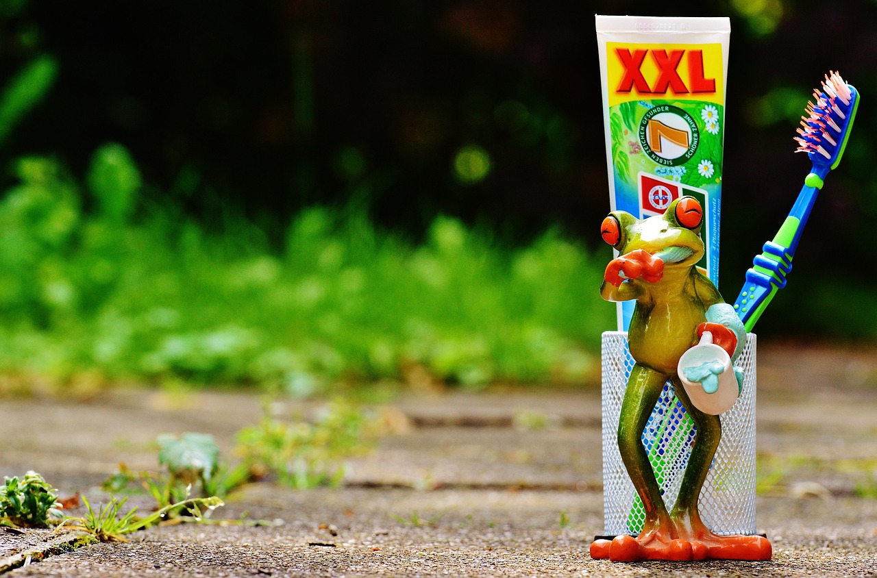 What toothbrushing tells us about foundation models for economics